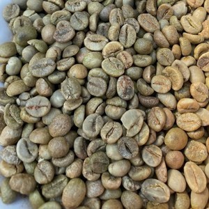 High Quality Vietnam Robusta Green Coffee <b>Beans</b> Screen Size 18 Raw Bulk Export Quality Coffee <b>Beans</b> Supplier Worldwide - Product Image 5