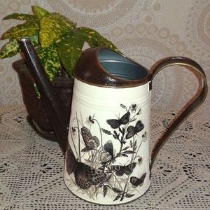 Arrosoir d'intérieur élégant en métal pour plantes décoratives, bec long, poignée ergonomique, revêtement antirouille, finition durable - Product Image 1