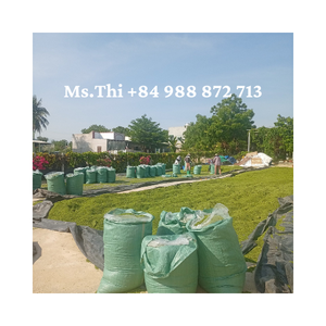 HOT 2024 Exporting Top Quality Green Seaweed Powder - Ulva Lactuca From Vietnam Bulk Export/ Ms.Thi - Product Image 1