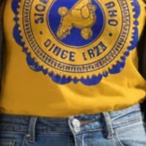 Camiseta Personalizada de Verano para Mujer con el Sello Antiguo de Sigma Gamma Rho, Diseño Gráfico del Escudo de la Hermandad Griega, Cuello Redondo, Manga Corta, Algodón Ecológico - Product Image 4