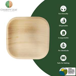 Piatto Quadrato Monouso da 4 Pollici Realizzato in Foglia di Palma Naturale - Product Image 5