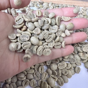เมล็ดกาแฟเวียดนามอาราบิก้าสีเขียว SCR16 SCR18 แบบล้างสะอาด ไม่ผ่านกระบวนการคั่ว จำหน่ายเป็นปริมาณมากสำหรับผู้นำเข้าและผู้คั่วกาแฟในสหรัฐอเมริกา/ ANNA - Product Image 2