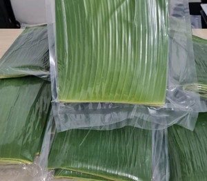 Feuilles de banane vertes fraîches de qualité supérieure, qualité alimentaire naturelle, fournisseur en gros d'exportation du Vietnam pour l'emballage alimentaire et la cuisine - Product Image 3