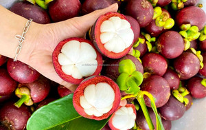 Mangoustan entier congelé IQF, fruits blancs pour la transformation alimentaire - Product Image 2