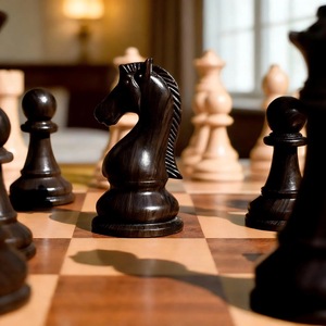 Jeu d'échecs rustique écologique poli, 100 % bois pur fait main, style animalier/amoureux, taille personnalisée, nouveau - Product Image 6