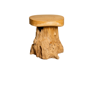 Pouf ARTERRA de luxe, durable, écologique, au design rustique, pour hôtel, appartement, entrepôt, fait main en racine de teck, tabouret champignon - Product Image 1