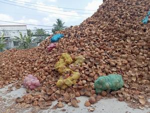 Charbon de coco noir du Vietnam pour chicha, combustion propre, 2 heures de combustion, cendres blanches, prêt à l'exportation - +84 911 379 511 - Product Image 2