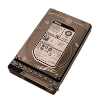 Dell Drive steker panas 2TB 7.2K RPM NLSAS 12Gbps 512n 3,5 inci