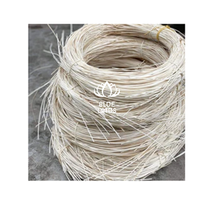 BEST SELLER Noyau de rotin naturel pour paniers faits main, meubles, chaises, tissage artisanal et décoration intérieure - Product Image 1