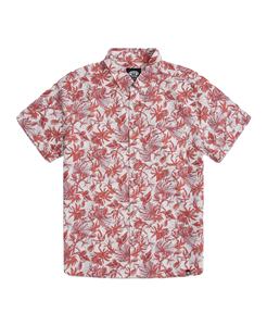 เสื้อยืดพิมพ์ลายสำหรับผู้ชายเสื้อยืดกลางแจ้งสำหรับผู้ชาย - Product Image 1