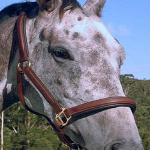 Cabestro de cuero de alta calidad con diseño de caballo hecho a mano, ajustable, con acabado de latón sólido, hebilla y anillos - Product Image 6