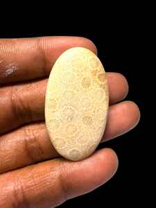 Cabochons de corail fossile naturel, cristaux minéraux polis, pierres précieuses de haute qualité, formes variées, matériaux en vrac pour la fabrication de bijoux - Product Image 3