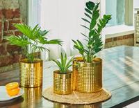 Ensemble de pots de fleurs modernes en laiton plaqué or, jardinières de bureau d'intérieur au design circulaire, style glamour pour plantes vertes