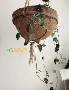 Pots à fleurs suspendus en fibre de coco pour jardin et extérieur |   Service OEM, conception personnalisée et approvisionnement en gros fabriqué au Vietnam - Product Image 4