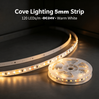 Bande LED flexible haute luminosité DC24V 120LEDs/m SMD2835, température de couleur 3000K-6000K, éclairage paysager à corps en cuivre.