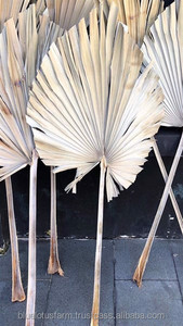 Fans de produits au coût le plus bas de l'été main feuille de palmier mode minuscule Handfan dans un style traditionnel avec raphia pour la décoration de mariage - Product Image 5