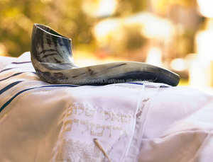 Auténtico CUERNO DE Shofar hecho a mano de Israel tallado estilo Ángel tradicional acabado medio pulido para colección de uso ceremonial - Product Image 4