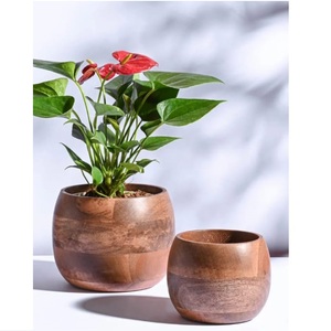 Pot de fleurs de jardin au design exclusif, pot de fleurs de luxe pour la décoration de fêtes et d'hôtels, finition galvanisée, fournisseur d'Inde - Product Image 5