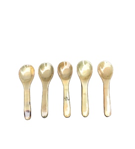 Cuillère à shilajit réutilisable en acier inoxydable - Product Image 1