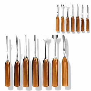 PISSCO Ent Microsurgical Otology <b>Instruments</b> Set Otology Microsurgery <b>Instrument</b> Kit Ent Ear Surgery Microsurgical <b>Instruments</b> - Product Image 6
