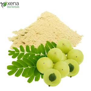 Fournisseur d'usine de fruits d'Amla biologiques, matière première végétale pour l'industrie nutraceutique et le bien-être, vente en gros - Product Image 3
