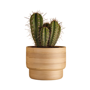 Scandinavian Style Spun <b>Bamboo</b> <b>Planter</b> Natural Small Indoor Flower <b>Pot</b> Decorative Plant <b>Pot</b> For Table Top Decor Made in Vietnam - Product Image 5