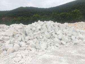 แคลเซียมคาร์บอเนตผง (นาโน CaCO3) ฟิลเลอร์สีอุตสาหกรรมแบบไม่เคลือบ600ตาข่ายเกรดอาหารเวียดนาม - Product Image 3