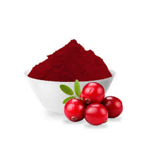 Poudre d'extrait de canneberge 25% Proanthocyanidines UV |   Extrait de Vaccinium Macrocarpon |   Fournisseur en gros - Product Image 4