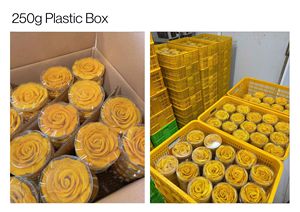 Vietnam Factory Direct Soft <b>Dried</b> <b>Mango</b> Slices Premium Tropical <b>Dried</b> Fruit Snack OEM Private Label Wholesale - Product Image 2