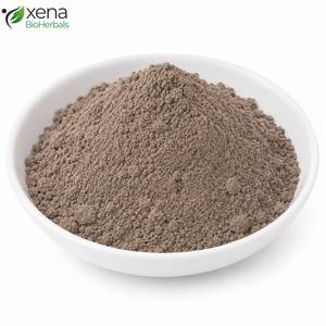 Fournisseur Botanique de Confiance : Poudre de Symplocos Racemosa, Matière Première Standardisée pour Formules Ayurvédiques – Vente en Gros - Product Image 1