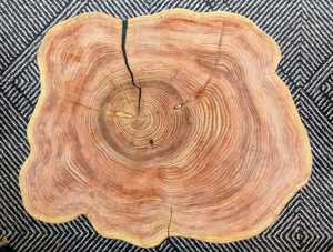 Mesa de Centro de Madera de Cedro Natural con Resina Epoxi, Patas de Metal con Diseño de Horquilla, Diseño Moderno, Hecha a Mano, Ecológica - Product Image 4