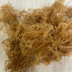 Musgo de mar secado al sol de primera calidad orgánico Eucheuma Cottonii musgo irlandés de la fábrica de Vietnam - Product Image 5