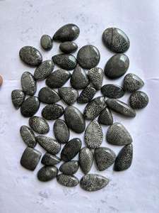 Venta al por Mayor de Cabujones de Cristal de Coral Negro Fósil Natural de Alta Calidad, Gemas Sueltas Finas Naturales para Joyería - Product Image 2
