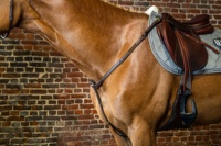 Plastron de cheval en cuir surélevé carré de qualité supérieure Durable longues bandes élastiques mousquetons selle boucles en laiton cheval Durable
