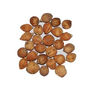 Laghu Nariyal pour Pooja, lot de 5, Laghu Shriphal en noix de coco naturelle originale de petite taille pour Mahalaxmi Puja, Kuber Puja, Havan - Product Image 6