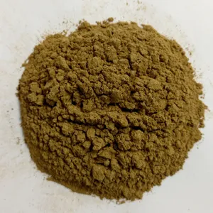 Polvo de Cápsulas de Cassia Angustifolia, Polvo de Cápsulas de Senna, Polvo Herbal Botánico para Té Ayurvédico, Bienestar Natural y Remedios Herbales - Product Image 3