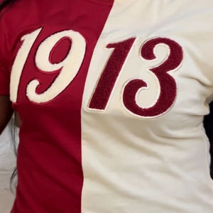 เสื้อยืดปักลายเชนิลล์ Half Half 1913 DST ผ้าฝ้ายพรีเมียม เสื้อผ้าสำหรับชมรมนักศึกษา เสื้อผ้าเดลต้ากรีก สีมารูน โทนสีกลาง สองสี - Product Image 5