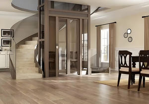 Elevador de vacío Neumático Hidráulico, productos para el hogar, elevador residencial, elevador de pasajeros de 2 pisos para hacer turismo - Product Image 4