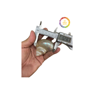 Elegante servilletero de concha marina hecho a mano, perfecto para vajilla de lujo y vibraciones tropicales de 99 Gold Data - Product Image 3