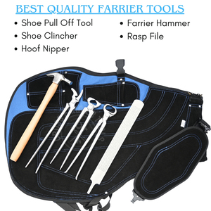 Juego de herramientas para el cuidado de pezuñas equinas con protectores de seguridad, alicates para pezuñas, herramienta para quitar calzado equino, martillo curvo para pezuñas, lima de acabado y raspador. - Product Image 3