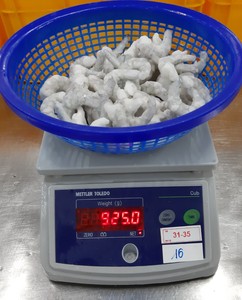 Camarones Vannamei Crudos de Primera Calidad para Exportación, Sin Cola, Congelados Individualmente (IQF) - Product Image 3