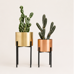 Ensemble de supports de plantes en métal de style moderne du milieu du siècle, fournisseurs d'usine, pots de fleurs décoratifs d'intérieur avec base robuste en fer noir - Product Image 1