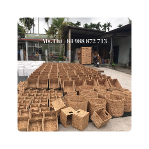 Vente de jacinthe d'eau torsadée à des prix abordables pour l'exportation en grande quantité en 2024 / Ms.Thi - Product Image 3