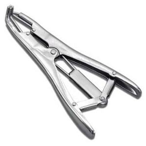 Détartreur de bondiches en acier inoxydable, 12 "en acier inoxydable, outil de capture pour le betage des animaux de compagnie, Instruments pour bétail et cochon - Product Image 1