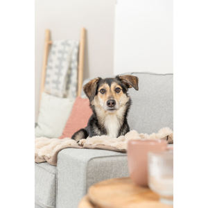 Manta Elli 150x100cm Arena, Manta para Mascotas y Cobija - Product Image 2