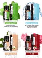 Huile Essentielle Végétale Naturelle Pure pour la Maison 10 ml Soin Massage Thé Lavande Eucalyptus Menthe Orange Ingrédients Échantillon Personnalisé