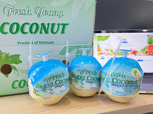 น้ำมะพร้าวเวียดนามสดคุณภาพพรีเมียม อายุการเก็บรักษา 60-90 วัน โดย TECHMIFOOD - Product Image 6
