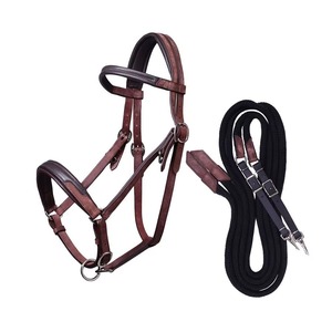 Brida para Caballo Personalizada, Cabezada de Cuero Premium Ajustable, Cómoda para Montar y Entrenar, Equipo Ecuestre Duradero - Product Image 2