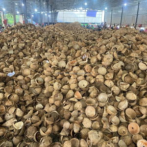 ถ่านกะลามะพร้าวเวียดนามสีดำธรรมชาติ (รูปทรงก้อน) ความชื้น 12% ปริมาณคาร์บอน 70-75% สำหรับบุหรี่ฮุคก้า ถ่านกัมมันต์ | - Product Image 5