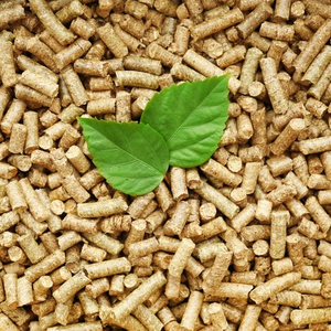 เม็ดเชื้อเพลิงชีวมวลจากขยะเกษตร - Product Image 4
